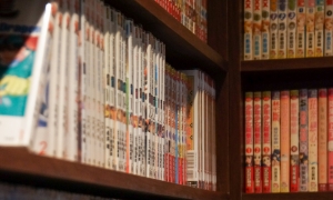 Manga Lounge
