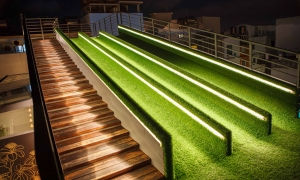 The Sunlit Grass Slide