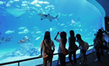 National Museum of Marine Biology & Aquarium (NMMBA)